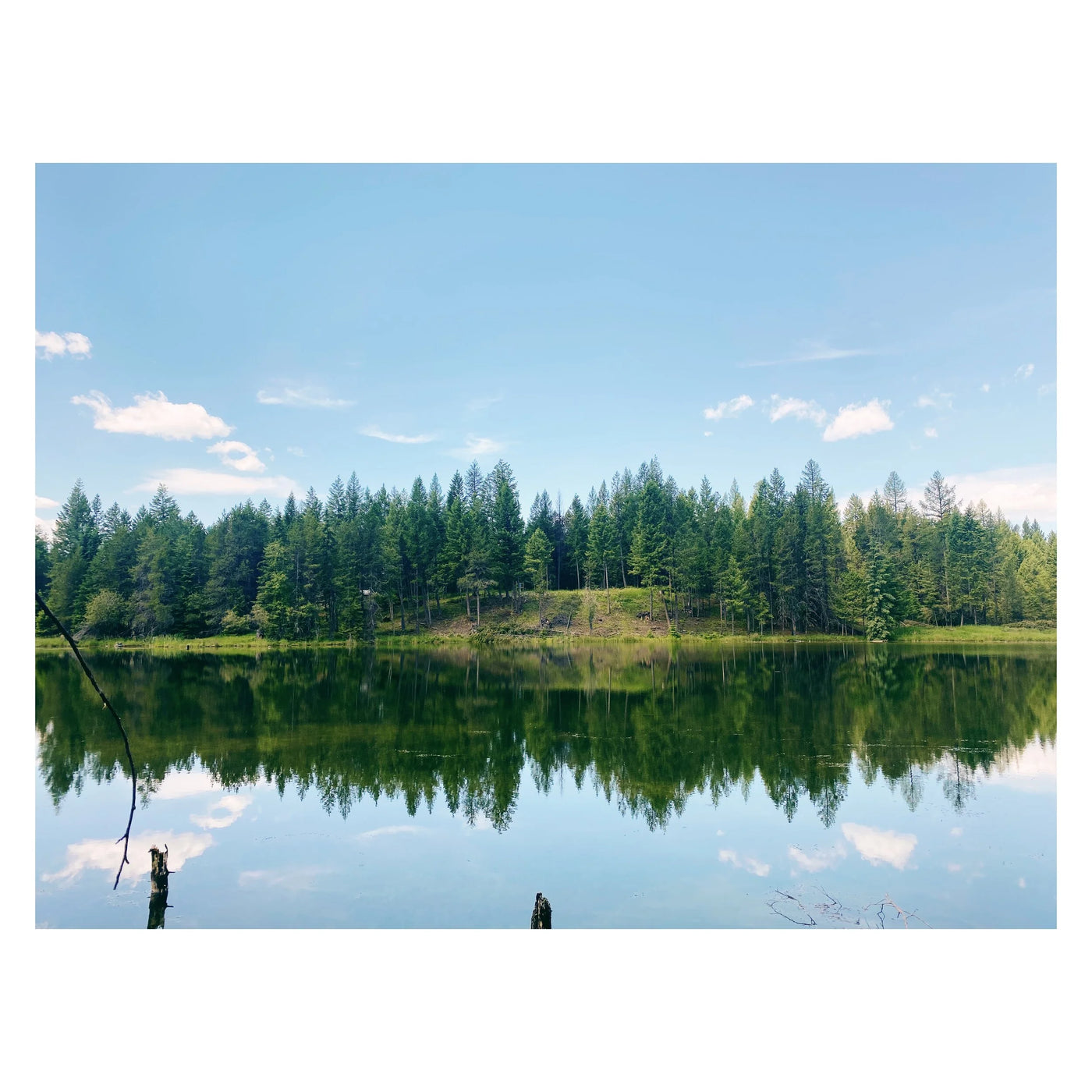 LAND
