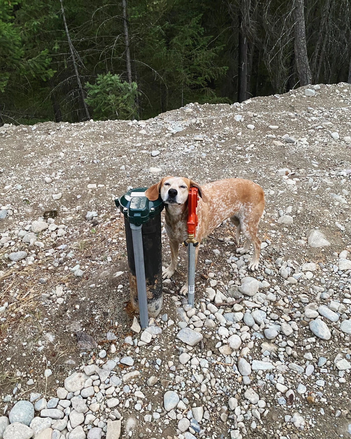Well water