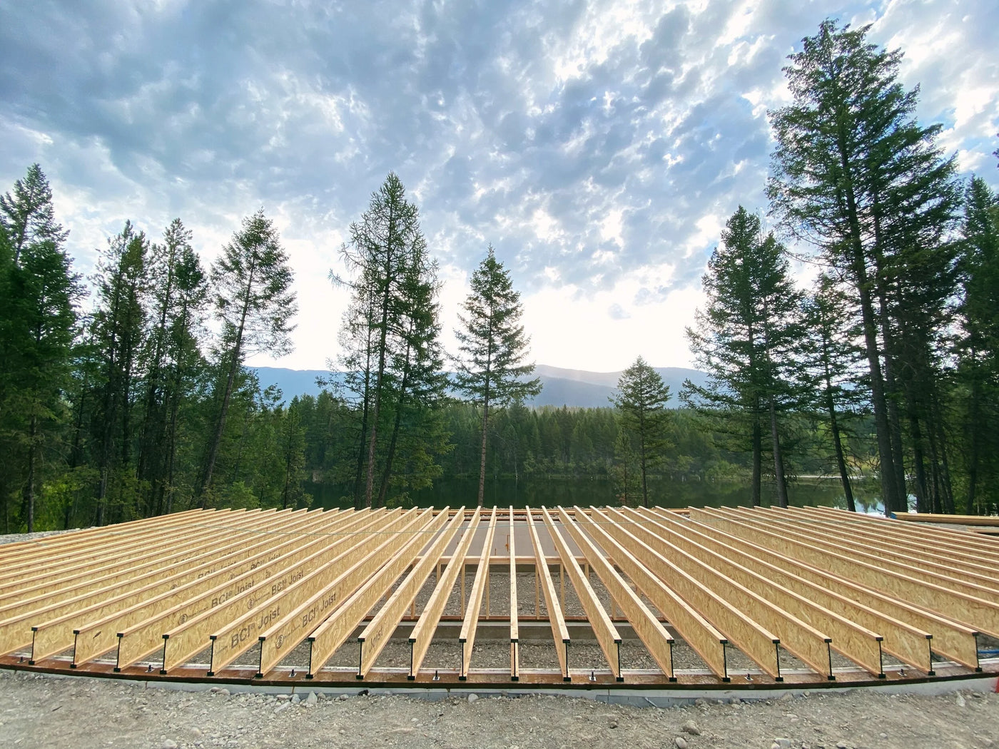 Joists & subfloor