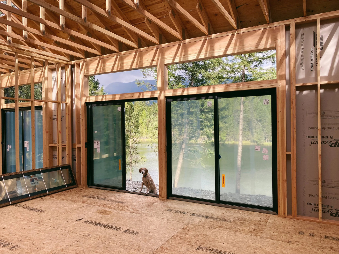 Windows & Doors