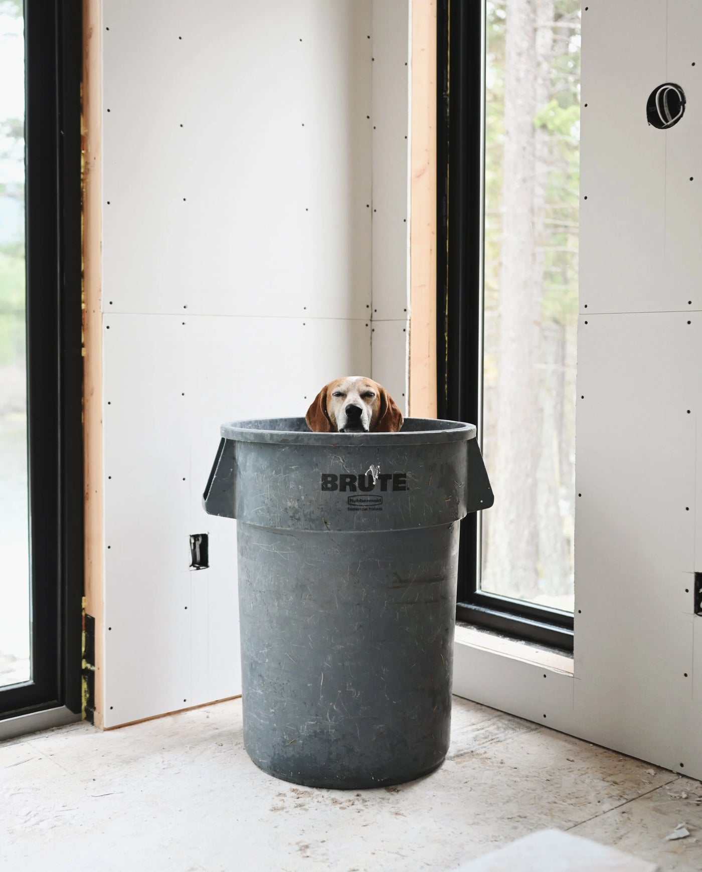 Drywall